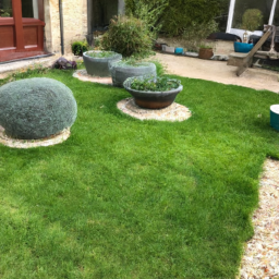 Techniques de taille pour maintenir un jardin esthétique et en bonne santé Athis-Mons